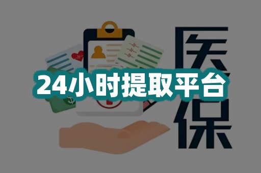 24小时提取平台